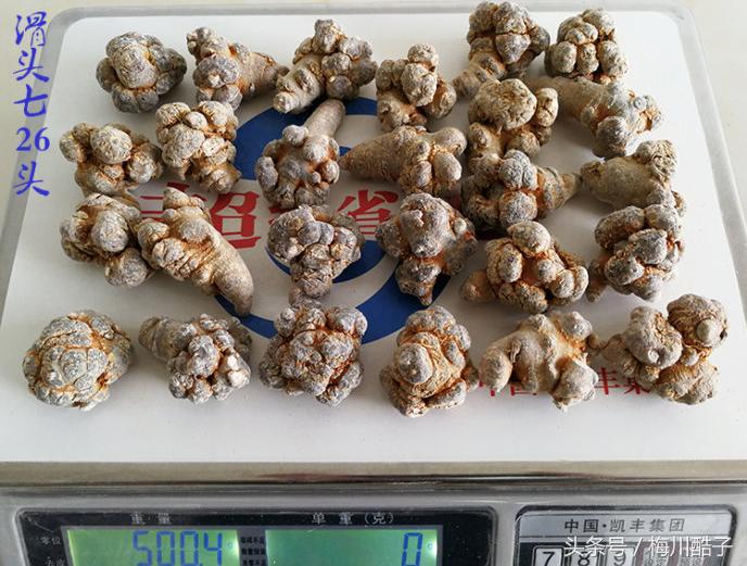 三七多少个头什么意思,三七多少目是什么意思