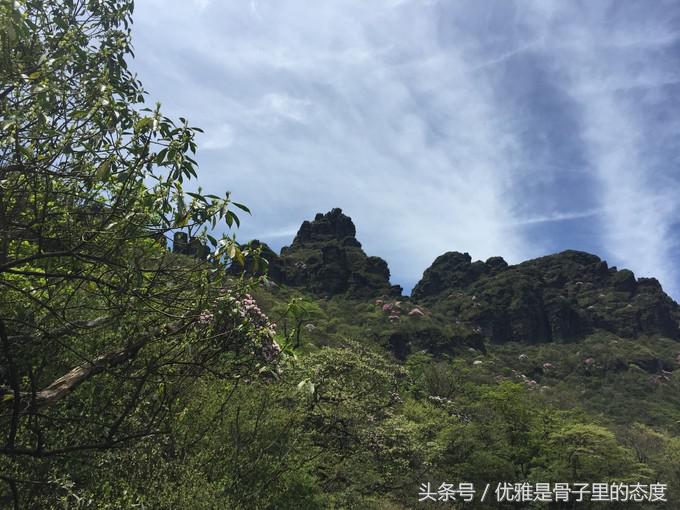梵净山奇幻之旅,梵净山最美一日游