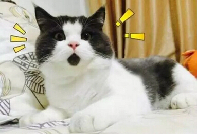 烧烫伤急救的最好方法,孩子夏天防烧烫伤