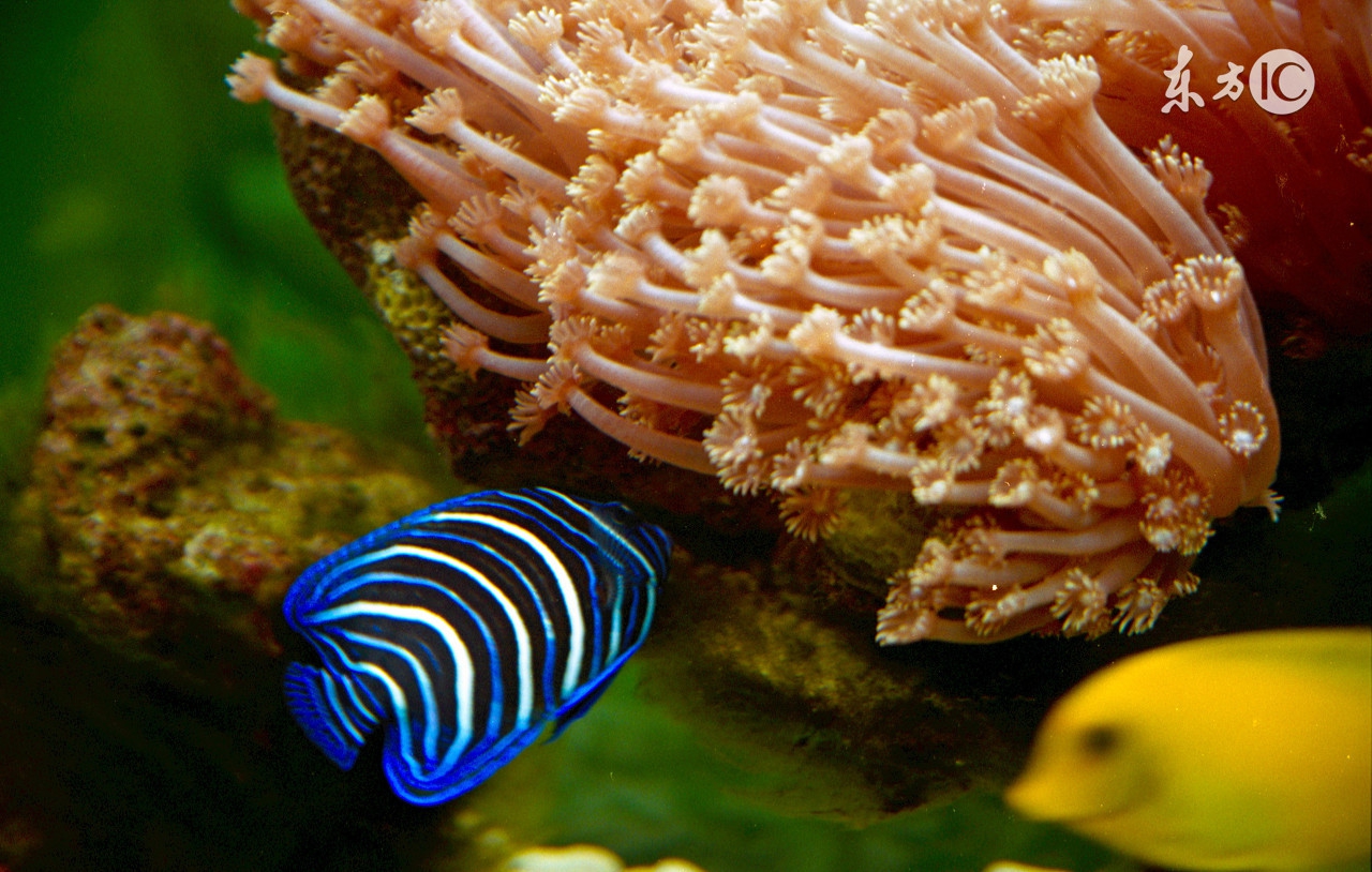 sothat和suchthat有什么区别吗,sothat和suchthat的区别简单记