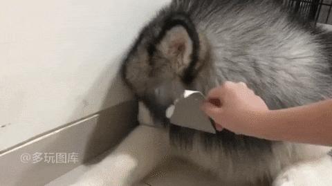 足球球员顶峰身价多少亿,足球员身价是谁的钱