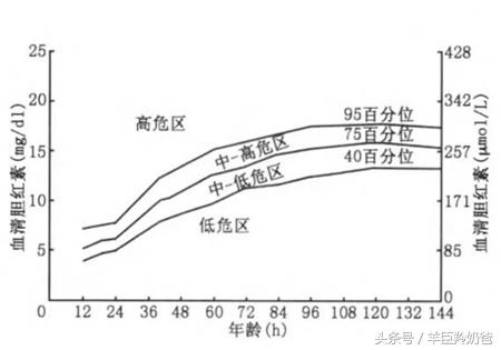 黄疸值超过这个数字会伤害大脑!关于黄疸,父母不可不知这4点