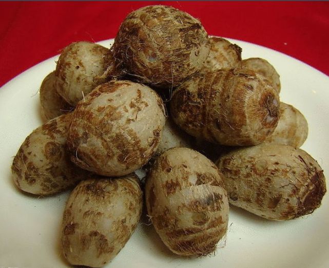 这些饵料堪称经典你用过几种,比较冷门但是效果却很好的饵料