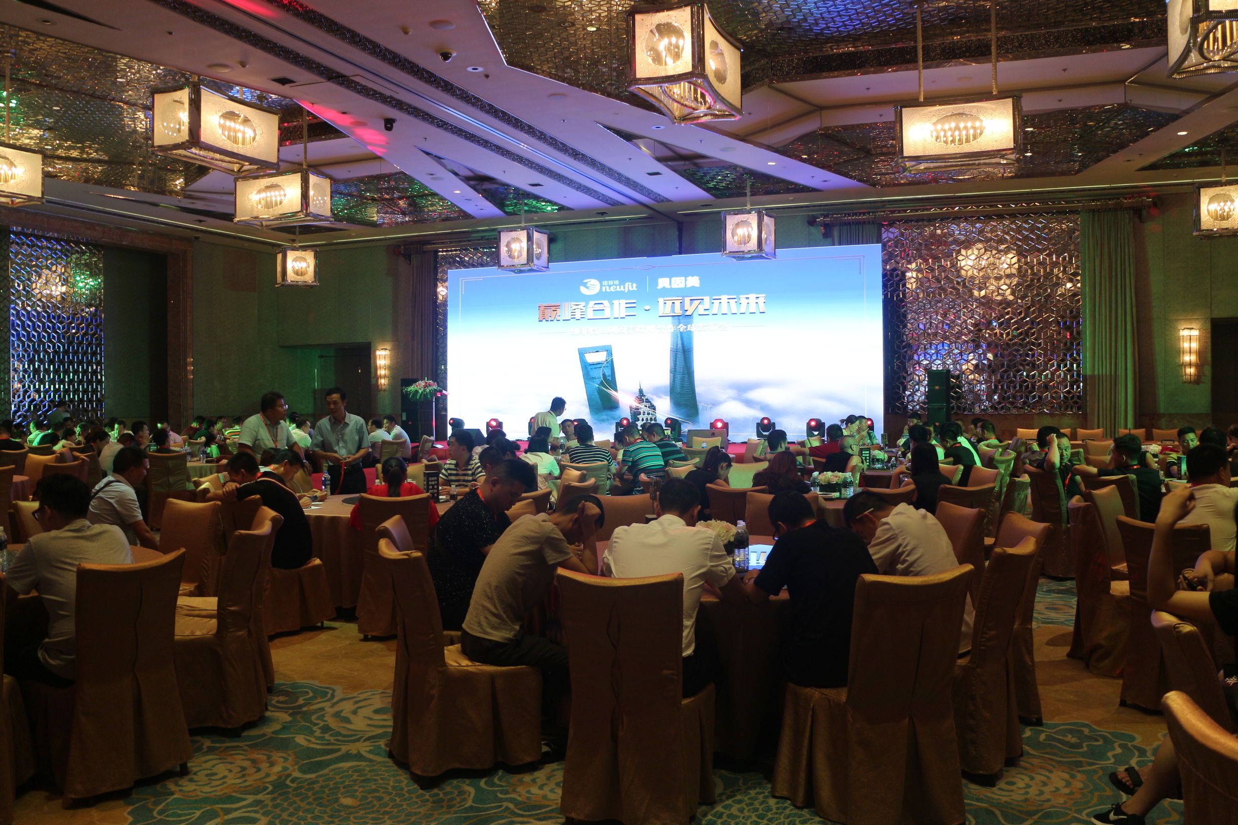 贝因美纽菲特,纽菲特与致护