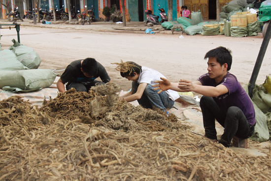 广西边关小城在哪里,广西中越边境的小镇