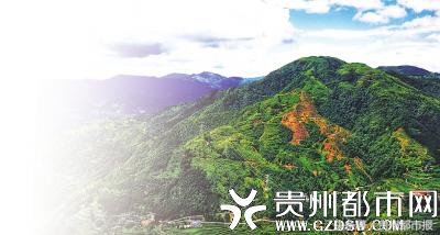 路通了，一切都好起来了——探访雷山县背略村