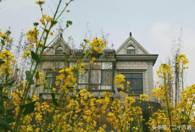 上海迪士尼梦想家主题民宿,迪士尼主题民宿房间