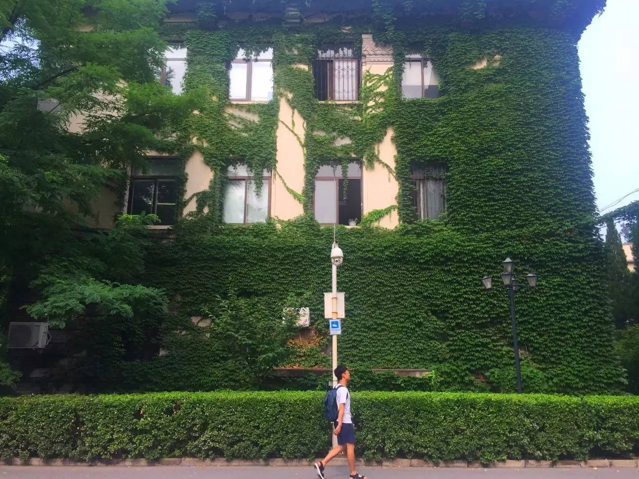 北京科技大学这个西瓜摊神了,一到夏天就成北科吃货聚集地