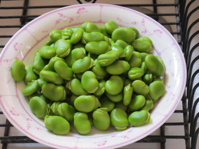 这些饵料堪称经典你用过几种,比较冷门但是效果却很好的饵料