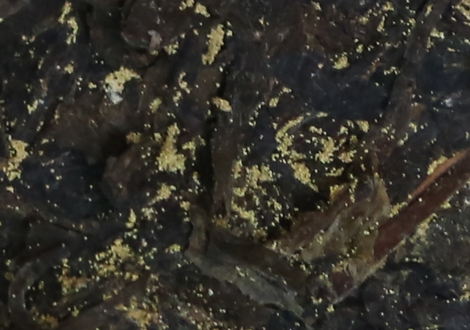 茯茶产地,金花茯茶产地