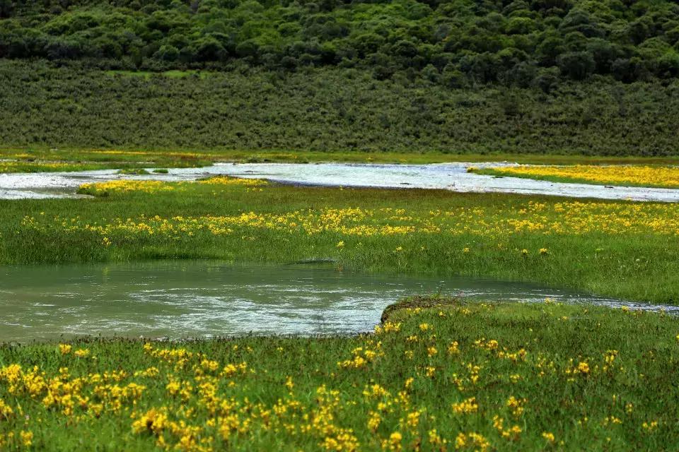 稻城亚丁旅游最新路况,成都稻城亚丁路况实录最新