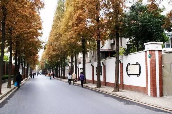 上海老夫妻旅行路线攻略,上海适合老年人去的地方推荐