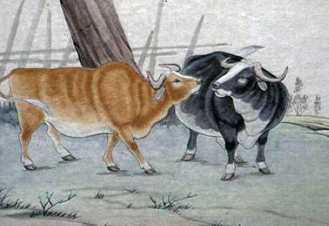 什么生肖和什么生肖最佳搭配,最合适的生肖组合