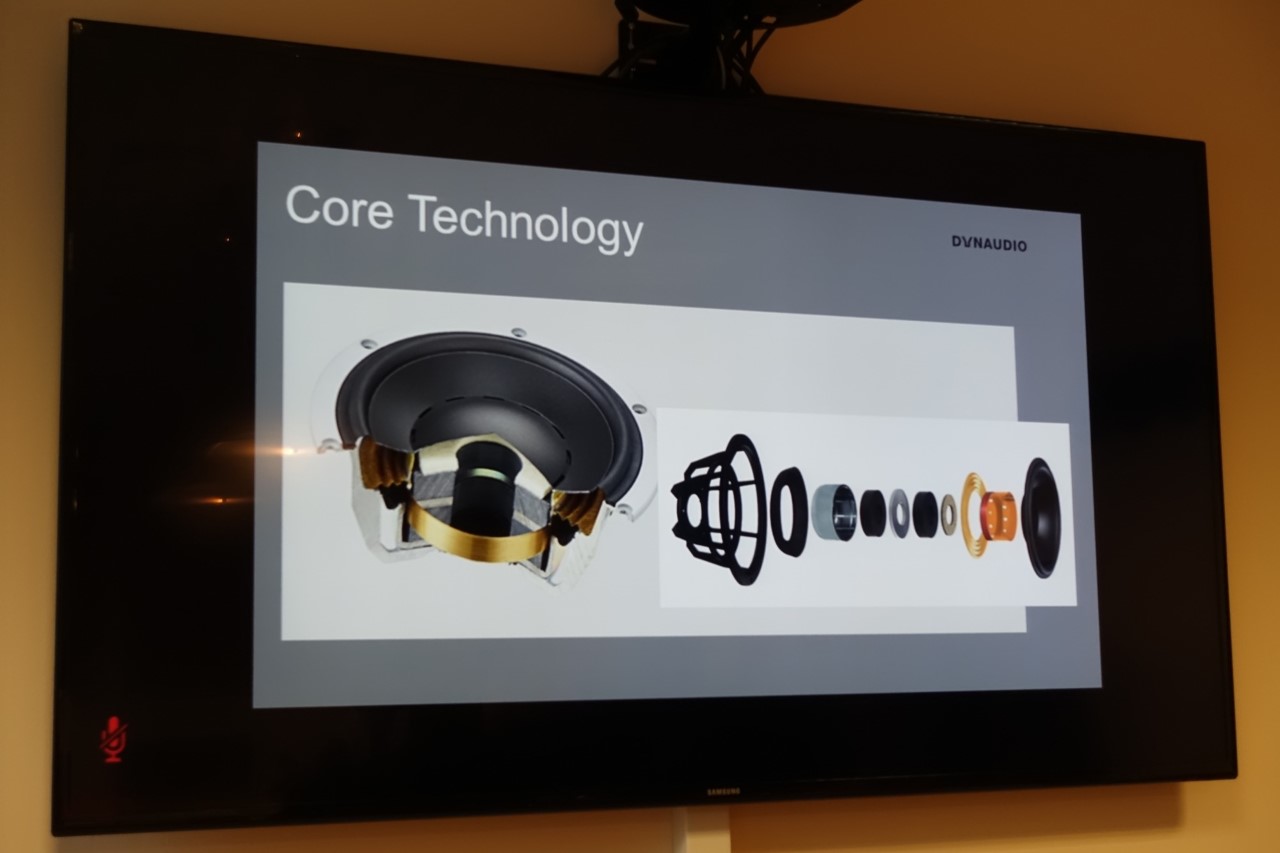 涓规嬁涓归害鎬婚儴,涓规嬁dynaudio2019