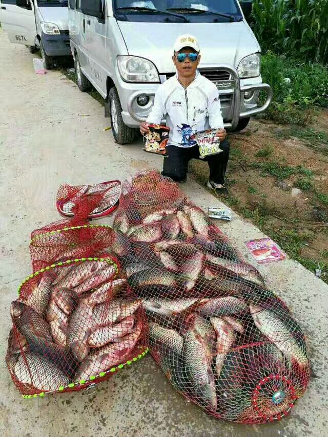 金龙经典饵料,媲美商品饵的鱼饵