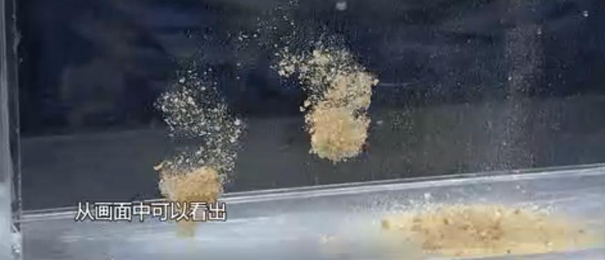 金龙经典饵料,媲美商品饵的鱼饵