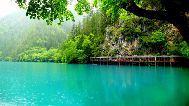 九寨沟泥石流2021年7月有泥石流吗,九寨沟旅游游客被吓