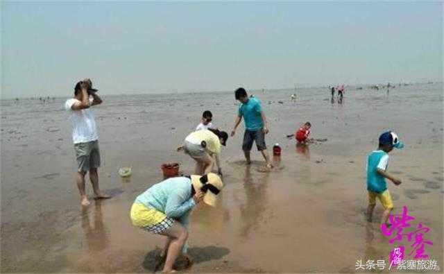 农家院采摘联盟(紫塞)乡村游攻略十六:唐山乐亭老船家农家院