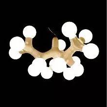 灯具类型以及价格规格有哪些,灯具灯饰的相关知识有哪些