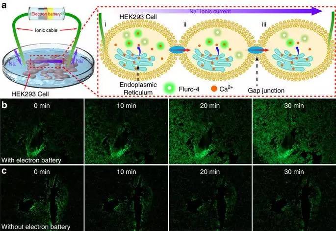 新型电池钠离子电池,世界首款核电池