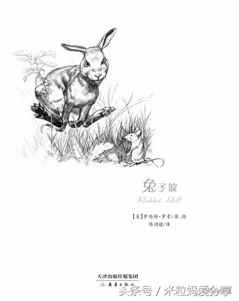 曹文轩的三年级必读书目,曹文轩推荐小学生必读书