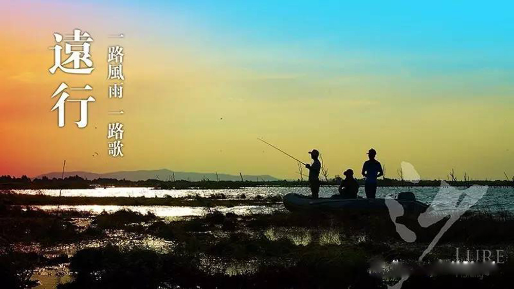 雷强纪录片完整版,雷强最好用的雷蛙