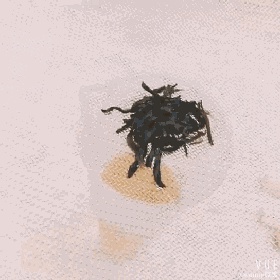 0失败简单糕点,茉莉花茶加冰糕