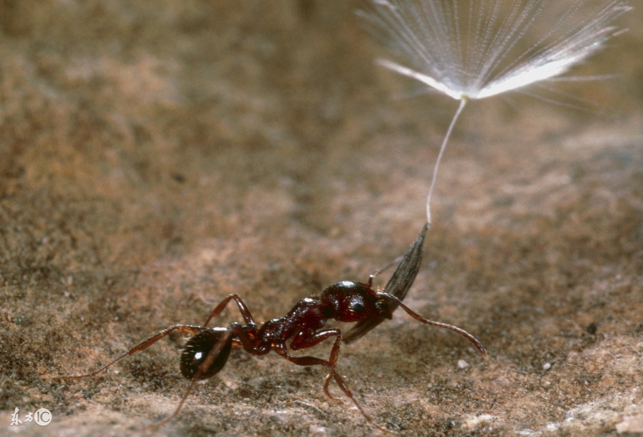 炒股识别主力趋势线假突破的方法,精准把握主力进场的最牛指标战法