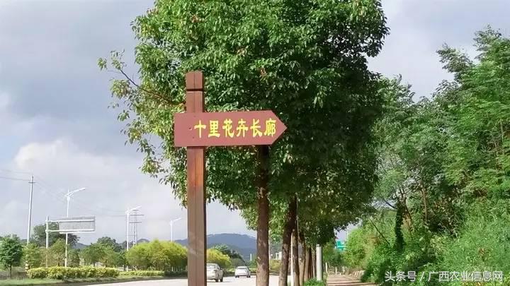 暑假去哪里旅游好进广西,暑假去哪里玩好玩又便宜广西