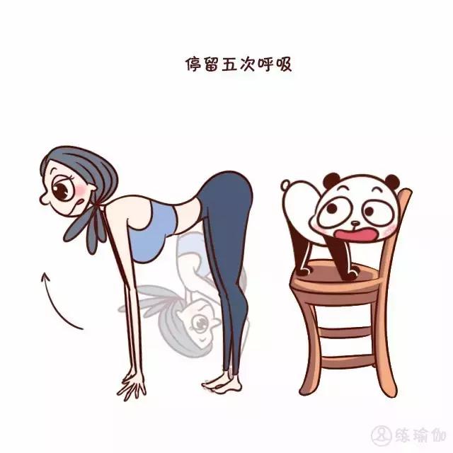 健康之路五脏六腑,健康之路五脏调和百病消