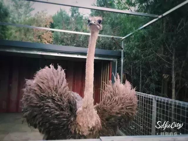 玩转怀柔丨无“水”不夏天，怀柔让你嗨翻天~