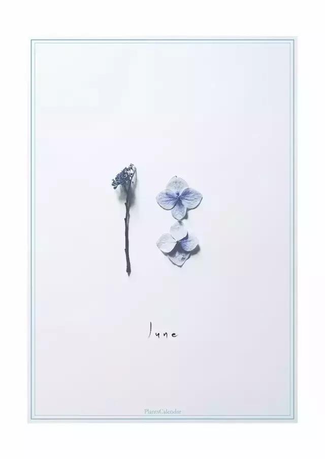 diy干花教程5朵,自己动手diy的干花