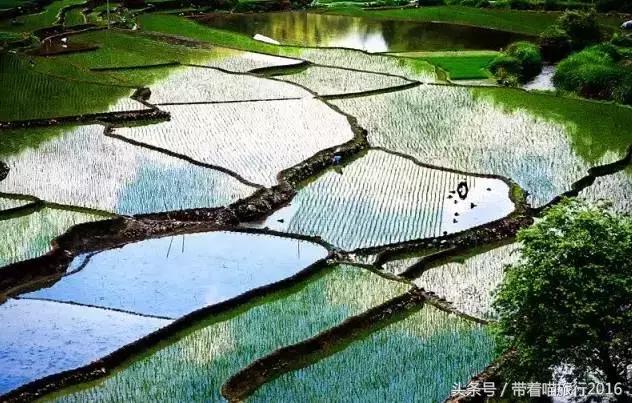 探访龙泉古村,龙泉古镇的美景