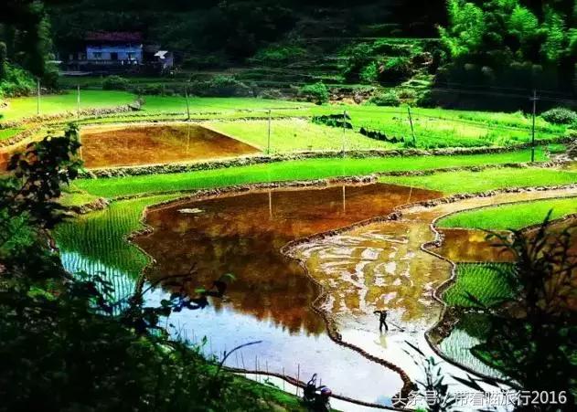 探访龙泉古村,龙泉古镇的美景