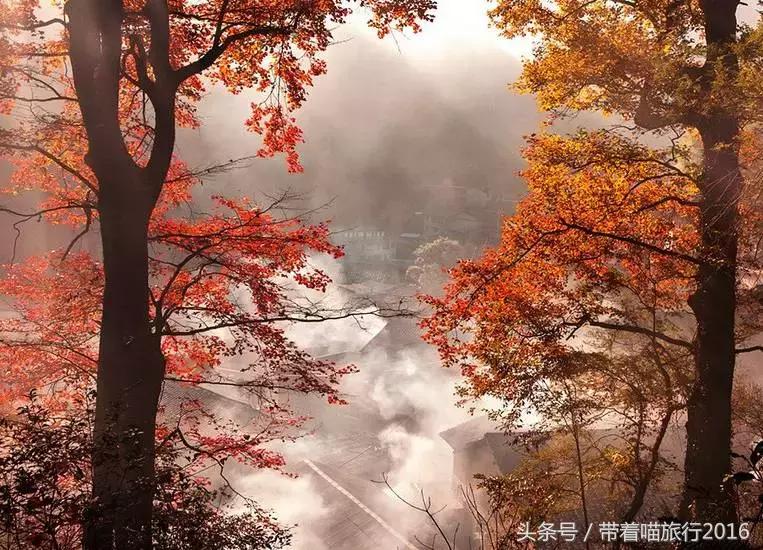 探访龙泉古村,龙泉古镇的美景