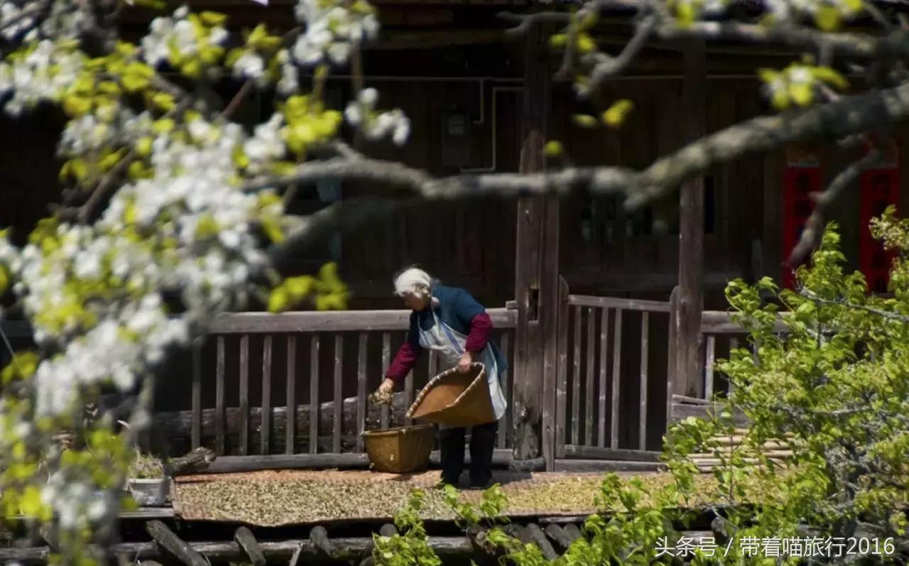 探访龙泉古村,龙泉古镇的美景