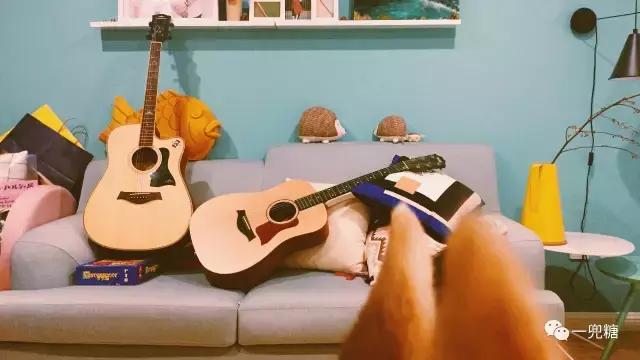 推开门我误以为自己闯入了海洋精灵的家