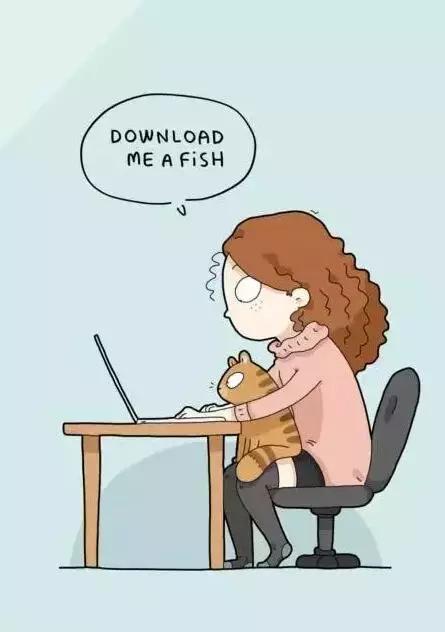 养猫的100个好处视频,养猫的人才懂的十个好处