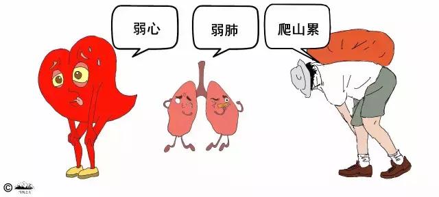 户外登山体力训练,登山提升爬坡能力