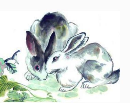 什么生肖和什么生肖最佳搭配,最合适的生肖组合