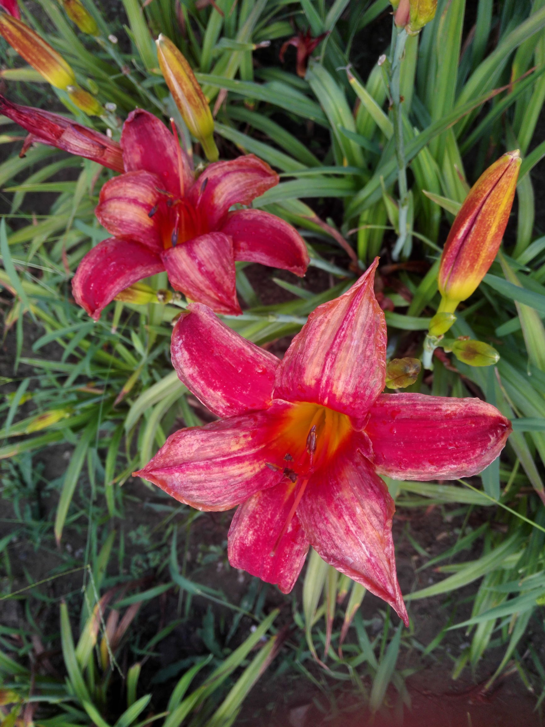 北京顺义湿地公园免费景点,去顺义好玩的地方推荐