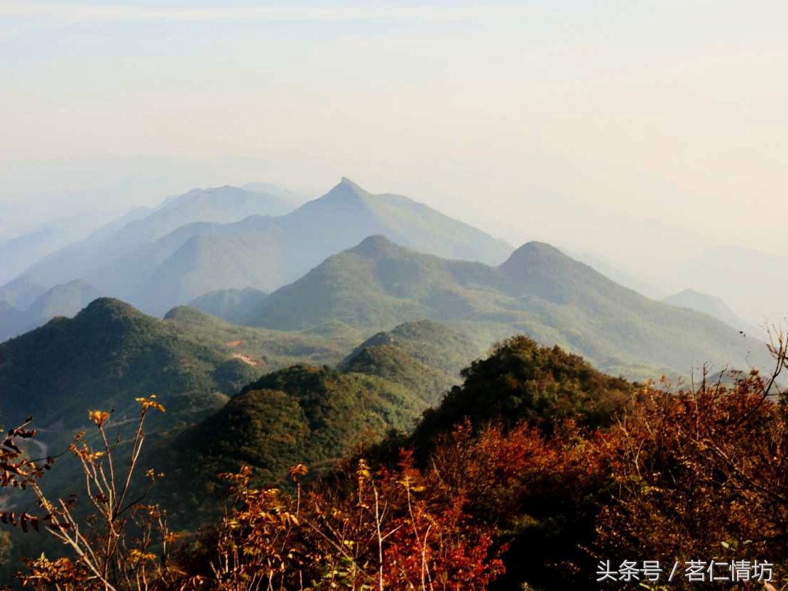 四川最美的山，你去过几个？华蓥山、青城山、西岭雪山……