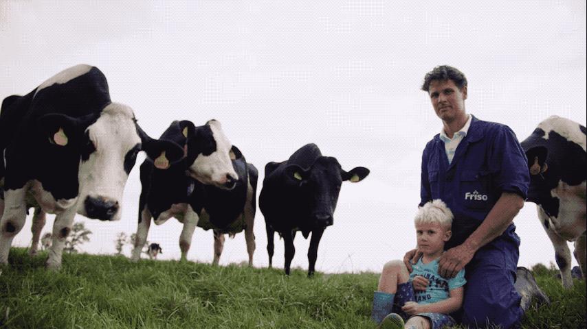 2年前,马云说“爱吃荷兰奶酪”,2年后,荷兰“送”来一片牧场