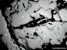 想要一生健康,珍藏这份价值100万+的日本健康计划!