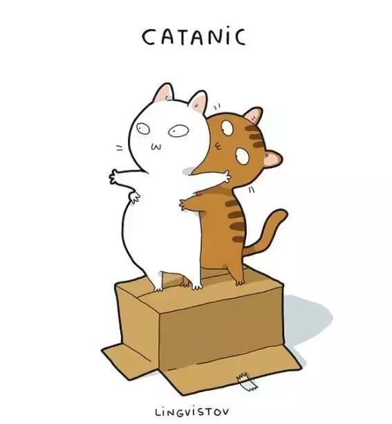 养猫的100个好处视频,养猫的人才懂的十个好处