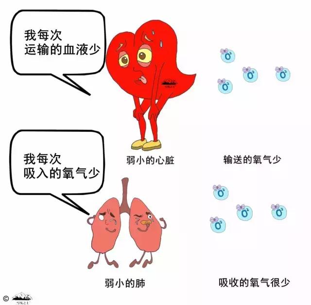 户外登山体力训练,登山提升爬坡能力