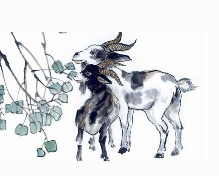 什么生肖和什么生肖最佳搭配,最合适的生肖组合