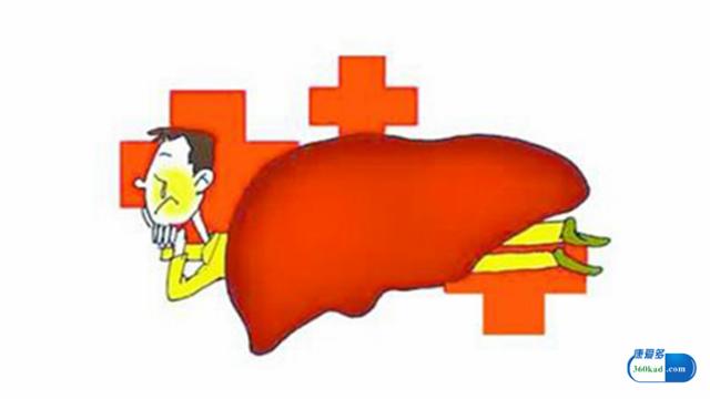 乙肝病毒携带者能服用华蟾素胶囊,华蟾素胶囊乙肝治愈