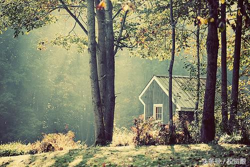 7日年化率与万份收益有什么区别,七日年化万份收益