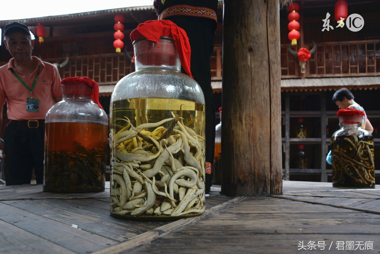 情蛊需要两情相悦才能种吗,巫蛊常用的蛊虫